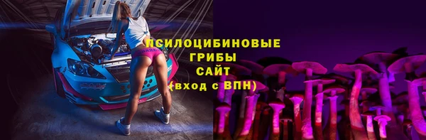 spice Алзамай