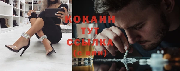 spice Алзамай