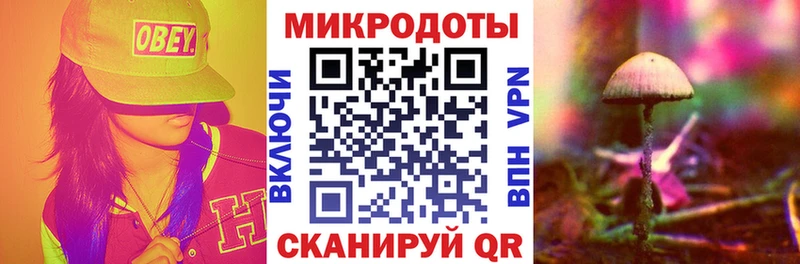 OMG ONION  Среднеколымск  Галлюциногенные грибы Psilocybe 